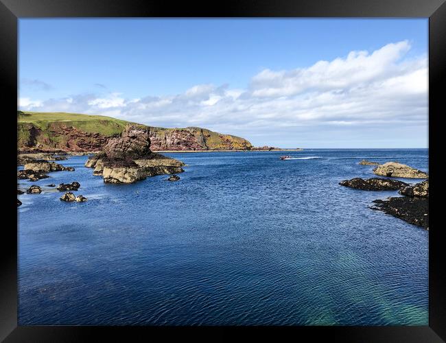 Saint Abbs coastline  Framed Print by Naylor's Photography