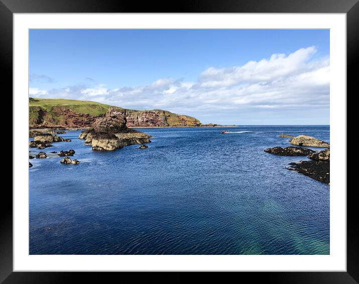 Saint Abbs coastline  Framed Mounted Print by Naylor's Photography