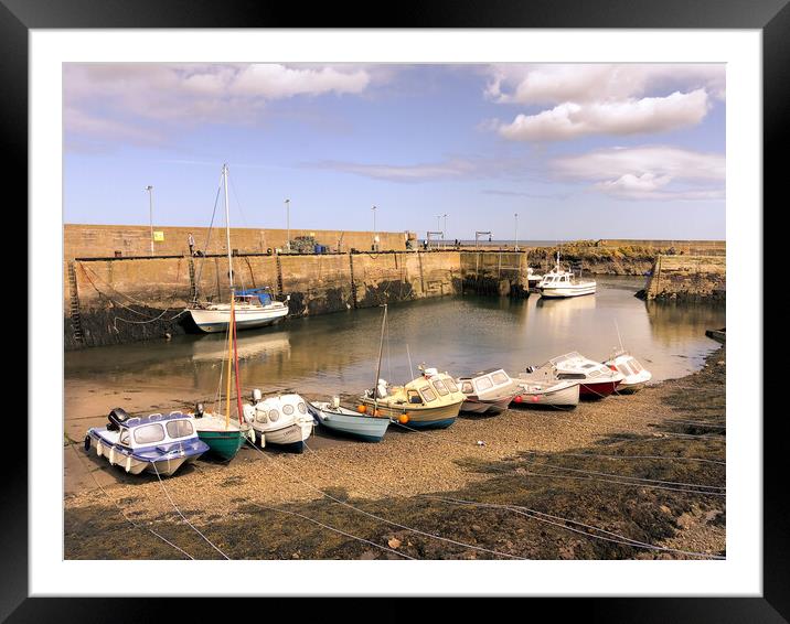 Pretty St. Abbs Harbour  Framed Mounted Print by Naylor's Photography