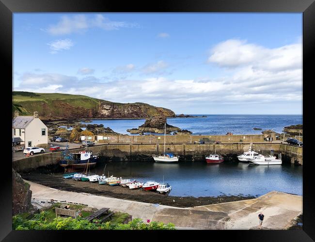 Beautiful day at St Abbs Framed Print by Naylor's Photography