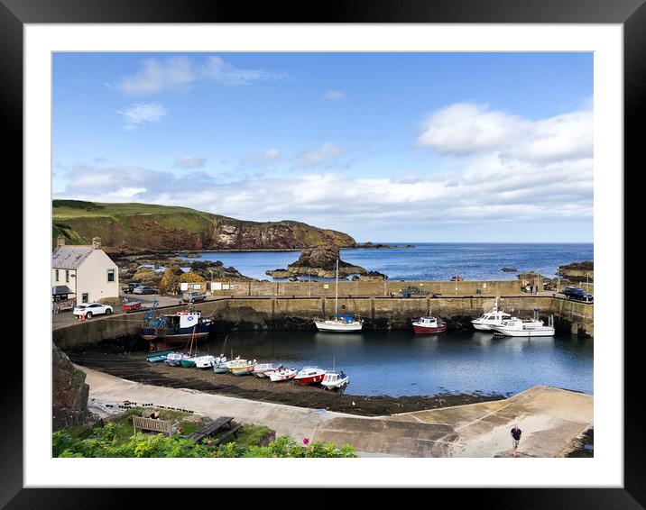 Beautiful day at St Abbs Framed Mounted Print by Naylor's Photography