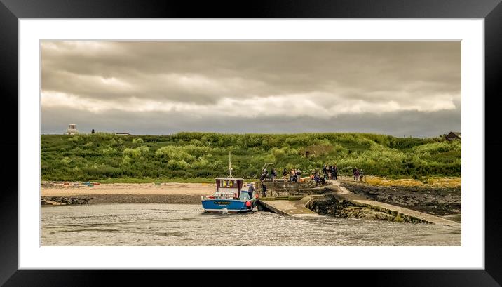 The beautiful Farne Islands Framed Mounted Print by Naylor's Photography