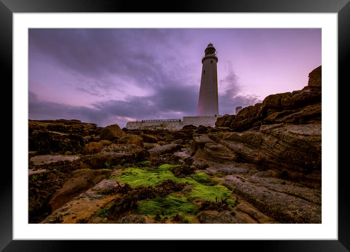 St Marys Lighthouse Framed Mounted Print by Les Hopkinson