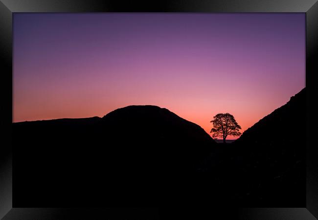 Sycamore Gap Silhouette Framed Print by Les Hopkinson