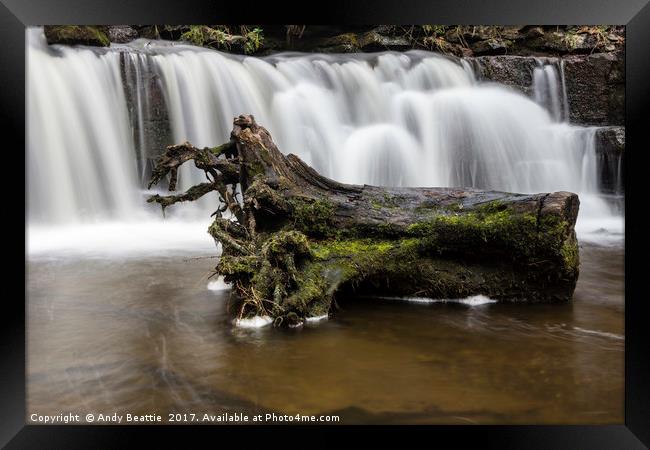 Scaleber Force Tree Stump Framed Print by Andy Beattie