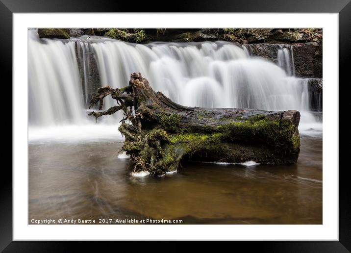 Scaleber Force Tree Stump Framed Mounted Print by Andy Beattie