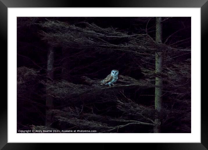 Barn Owl watching the world go by Framed Mounted Print by Andy Beattie