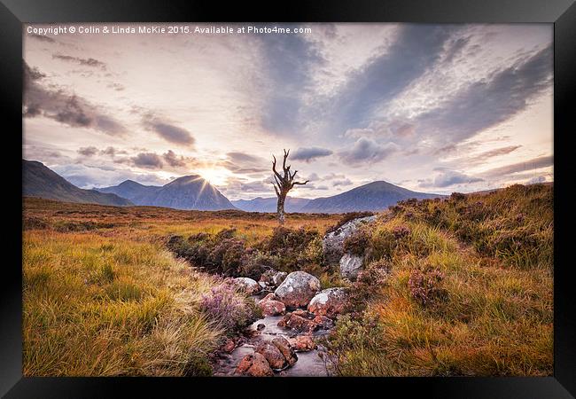 Lone Tree, Rannoch Moor, Scotland Framed Print by Colin & Linda McKie