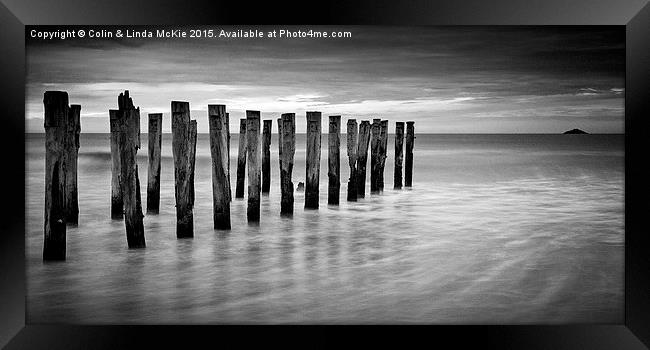 Old Jetty Pilings Dunedin New Zealand Framed Print by Colin & Linda McKie