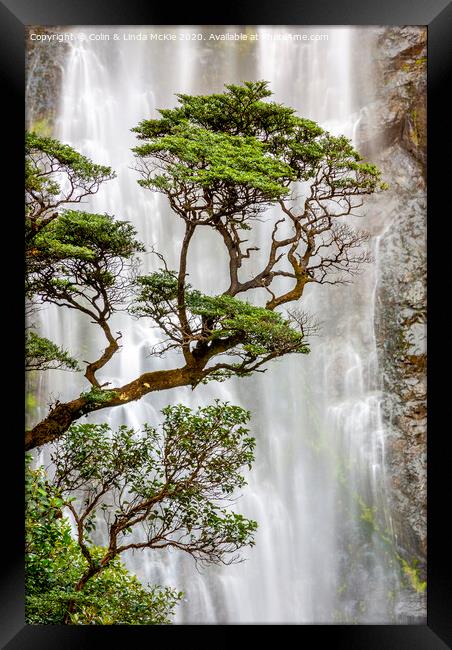 Trees and Waterfall Framed Print by Colin & Linda McKie