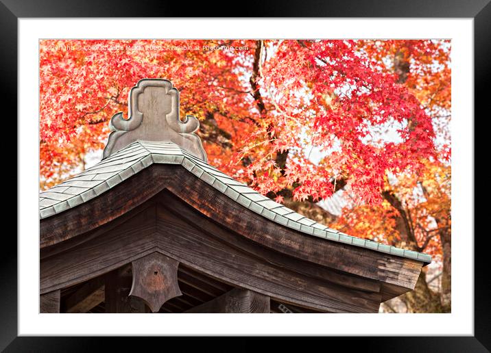 Shrine Roof and Autumn Leaves, Arashiyama, Kyoto Framed Mounted Print by Colin & Linda McKie