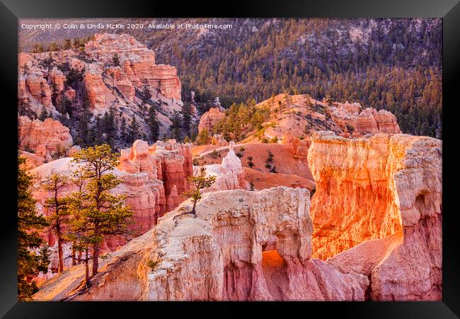 Bryce Canyon, Utah Framed Print by Colin & Linda McKie