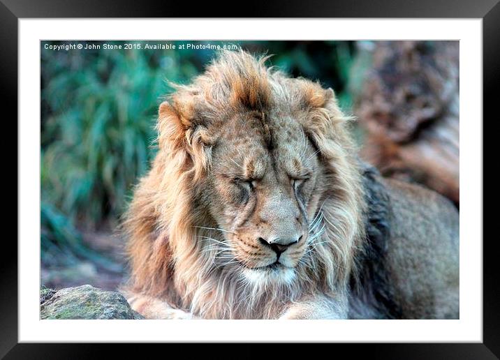  The Sleeping King Framed Mounted Print by John Stone