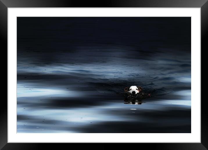DG0003 - Midnight Dip Framed Mounted Print by Robin Cunningham
