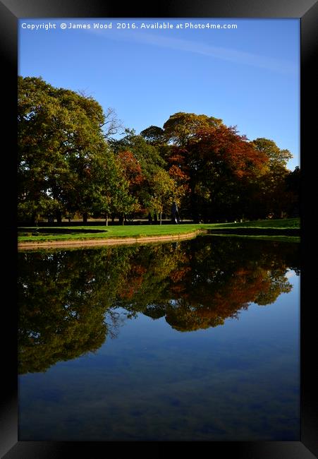 Autumn Colours Framed Print by James Wood