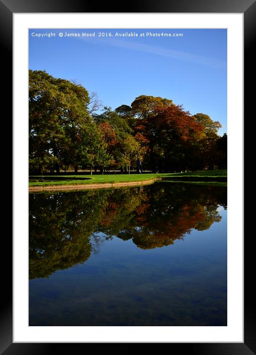 Autumn Colours Framed Mounted Print by James Wood