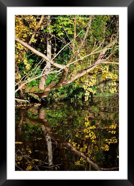 Inky reflections Framed Mounted Print by James Wood