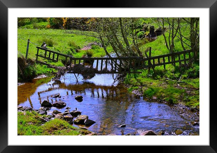  Bridge Reflection, Scotland Framed Mounted Print by Ann McGrath