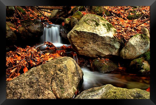  Perthshire Waterfall - Scotland Framed Print by Ann McGrath