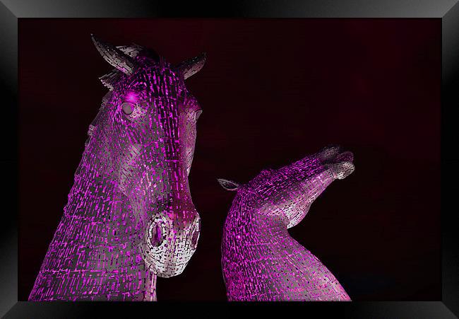 The Kelpies by Andy Scott - Falkirk, Scotland in P Framed Print by Ann McGrath