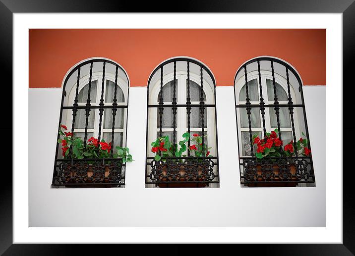  Windows in Nerja, Spain Framed Mounted Print by Ann McGrath