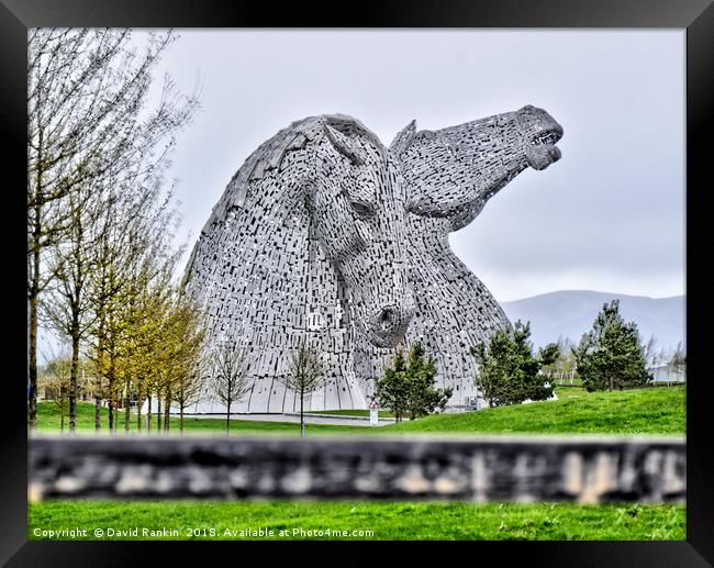 The Kelpies HDR image at the Helix , Falkirk Framed Print by Photogold Prints