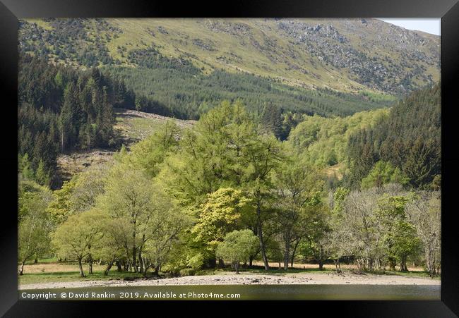 Loch Lubnaig, near Callendar in the Highlands of S Framed Print by Photogold Prints