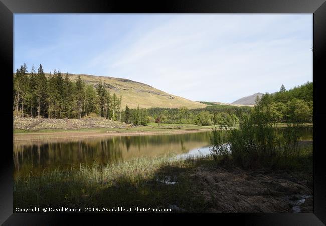 fir trees on the shore of Loch Lubhair ,  the High Framed Print by Photogold Prints