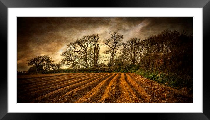 Autumn Field Framed Mounted Print by John Baker