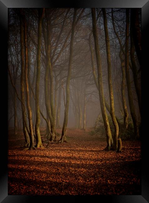 Silence is Golden Framed Print by John Baker