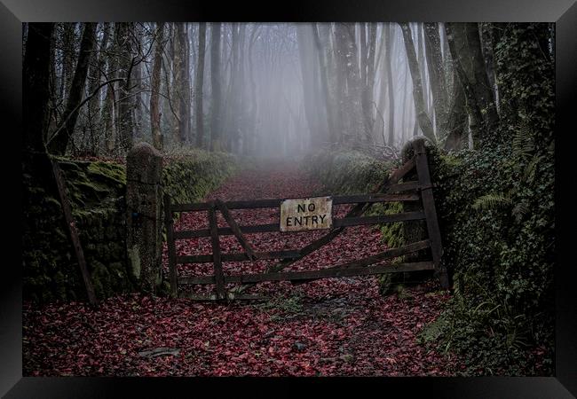 Forbidden Woods Framed Print by John Baker