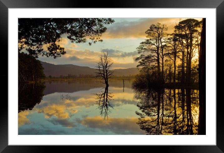 Loch Mallachie, Cairngorms at Sunset Framed Mounted Print by David Ross