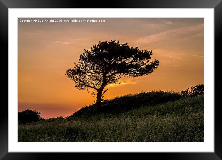  Tree of Tranquility Framed Mounted Print by Sue Knight