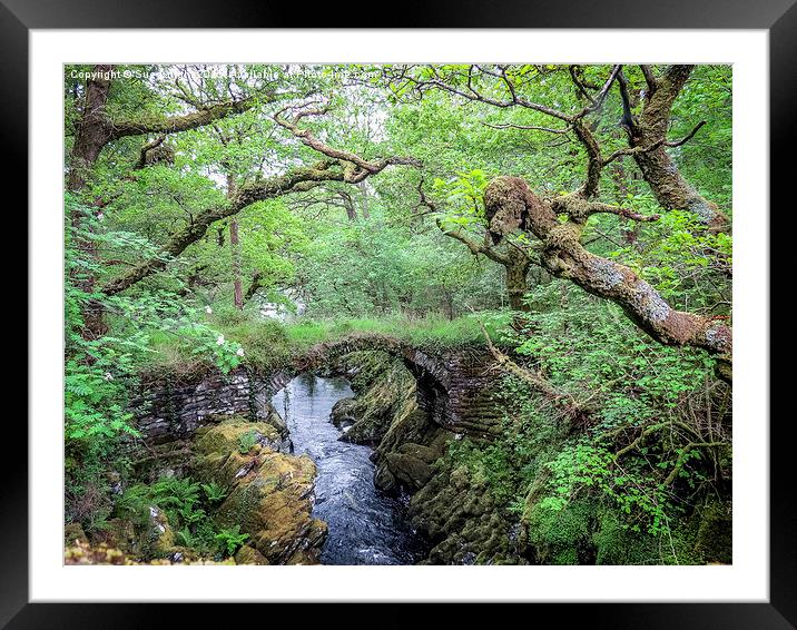  The Roman Bridge at Penmachno,North Wales Framed Mounted Print by Sue Knight