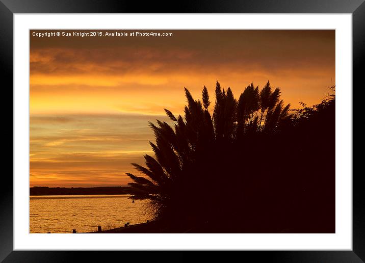  Sunset at lepe beach Framed Mounted Print by Sue Knight