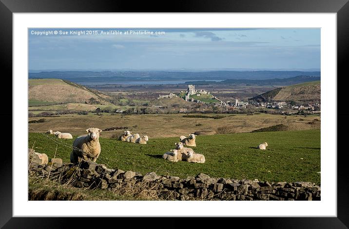  A view of Corfe castle, Dorset Framed Mounted Print by Sue Knight
