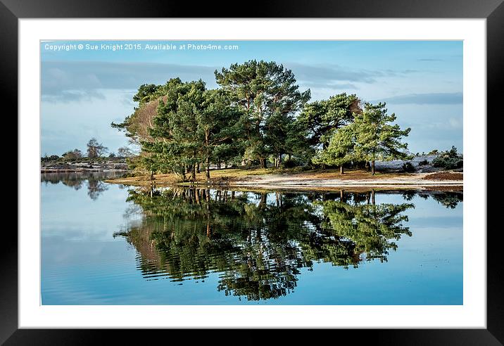  Hatchet Pond Framed Mounted Print by Sue Knight