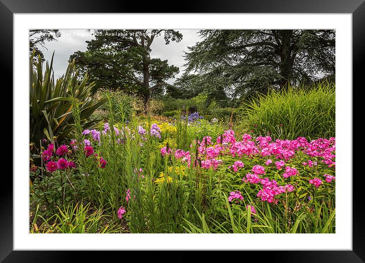  Herbaceous border at Exbury Gardens Framed Mounted Print by Sue Knight