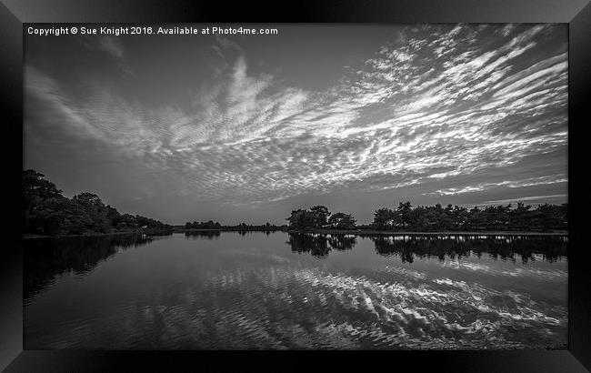  Reflections of Hatchet Pond,New Forest in b&w Framed Print by Sue Knight