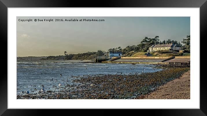 Tide out at Lepe,Hampshire Framed Mounted Print by Sue Knight
