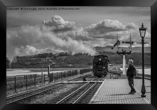 Last train at Porthmadog Framed Print by Sue Knight