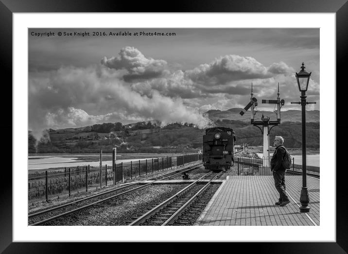 Last train at Porthmadog Framed Mounted Print by Sue Knight