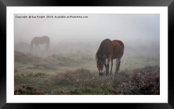 New Forest Ponies in the mist  Framed Mounted Print by Sue Knight