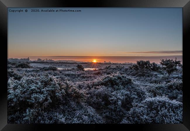 Frosty New Forest Sunrise Framed Print by Sue Knight