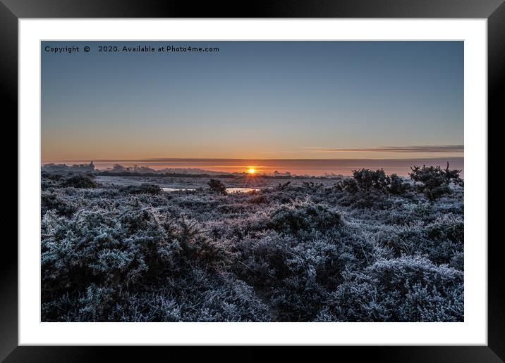 Frosty New Forest Sunrise Framed Mounted Print by Sue Knight