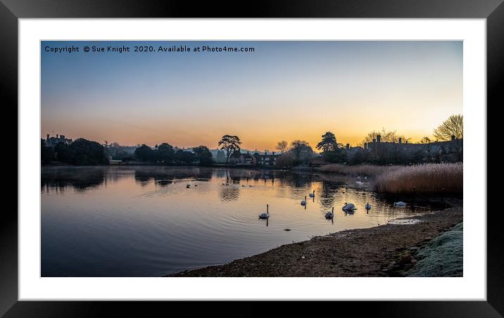 Sunrise and swans, Beallieu Millpond, New Forest Framed Mounted Print by Sue Knight