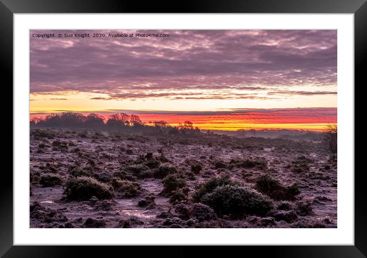 Frosty morning sunrise in the New Forest Framed Mounted Print by Sue Knight