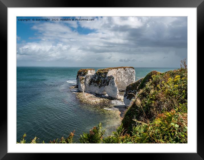 Old Harry's Rocks, Dorset  Framed Mounted Print by Sue Knight