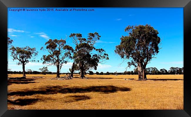  Outback Summertime Framed Print by laurence hyde