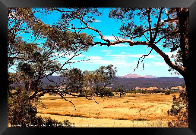Outback Harvest field Framed Print by laurence hyde